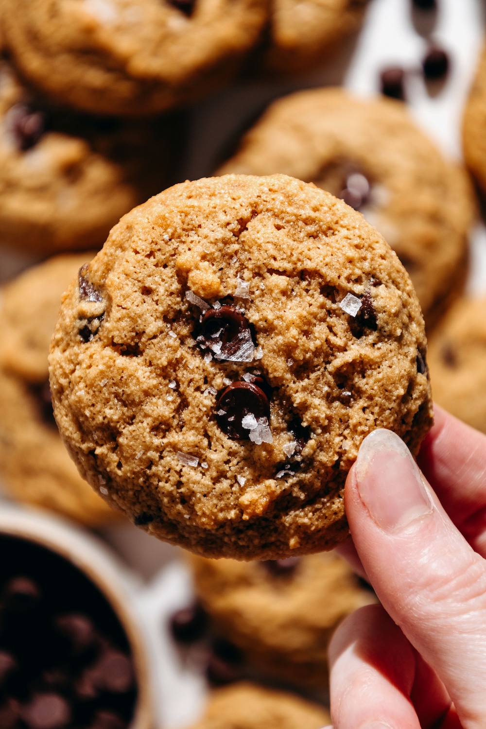 Almond Flour Chocolate Chip Cookies (egg-free, grain-free, dairy-free)
