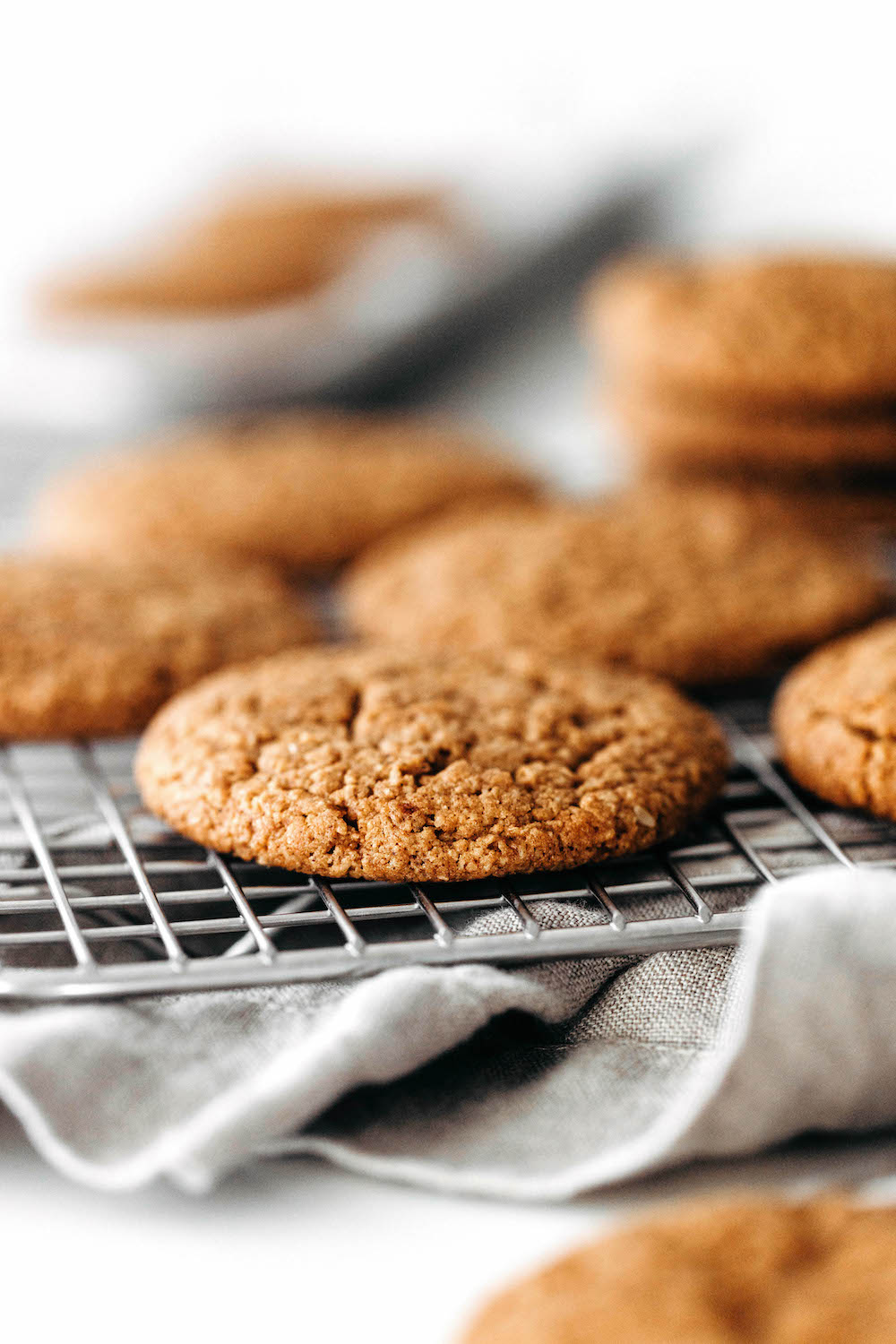 Vegan Ginger Molasses Cookies (paleo friendly!)