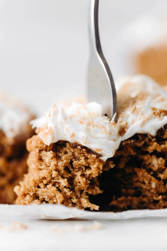 Toasted Coconut Cake (vegan + grain-free)