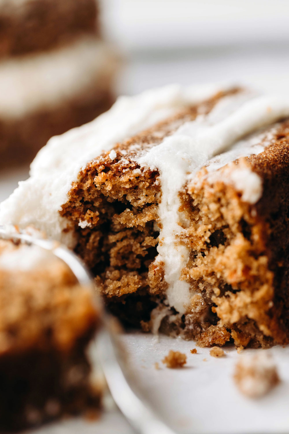 Best Healthy Carrot Cake (vegan + grain-free)