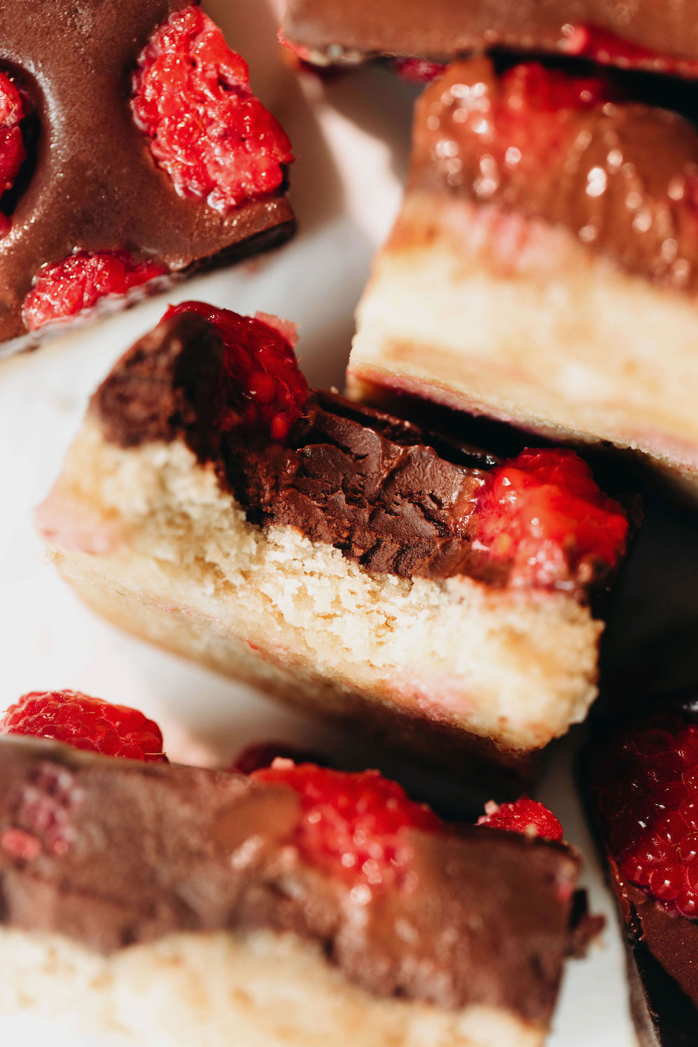 Raspberry Fudge Bars (vegan + paleo)