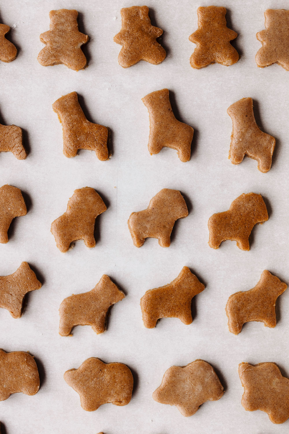 Vegan Frosted Animal Crackers (gluten-free)