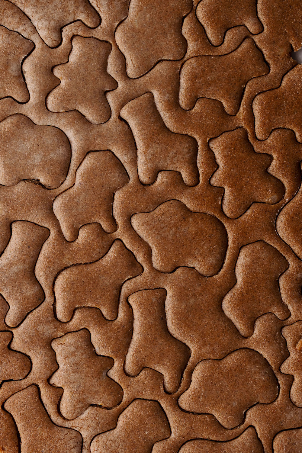 Vegan Frosted Animal Crackers (gluten-free)