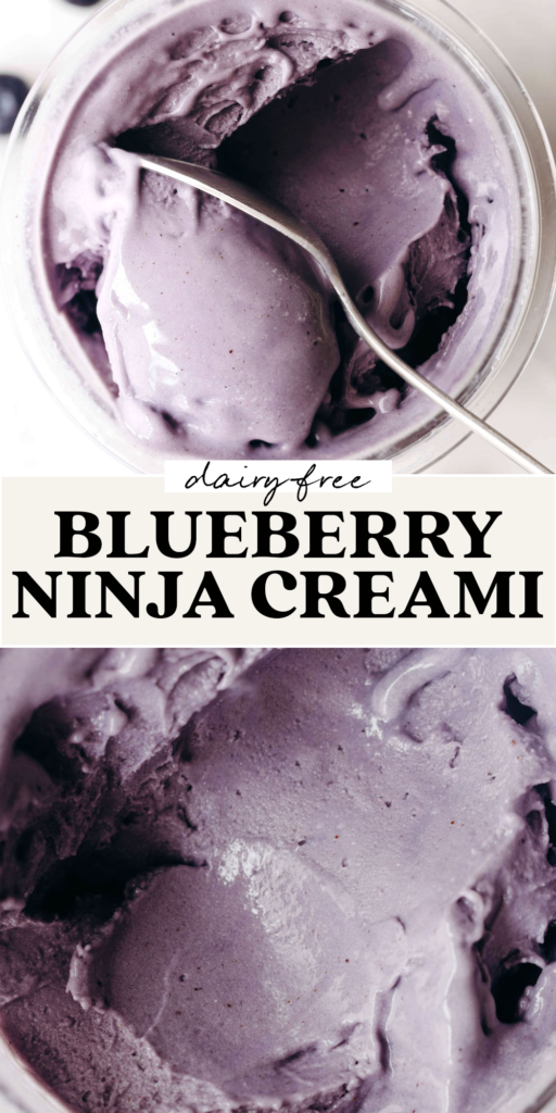 Dairy-Free Blueberry Protein Ice Cream