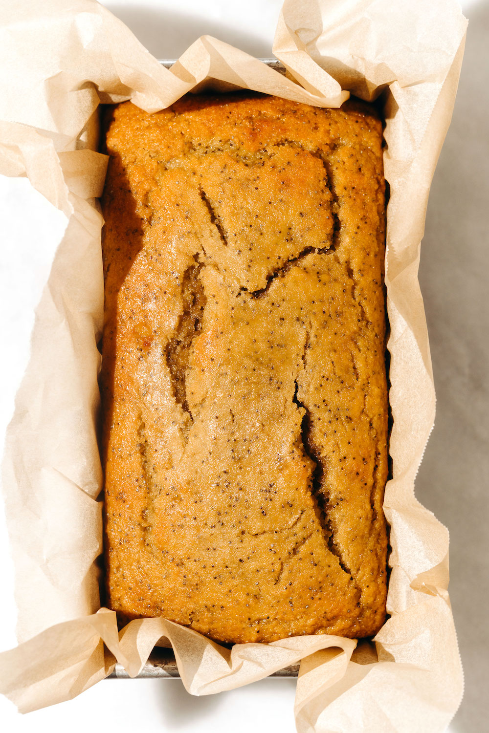 Lemon Poppy Seed Banana Bread (vegan + gluten-free)
